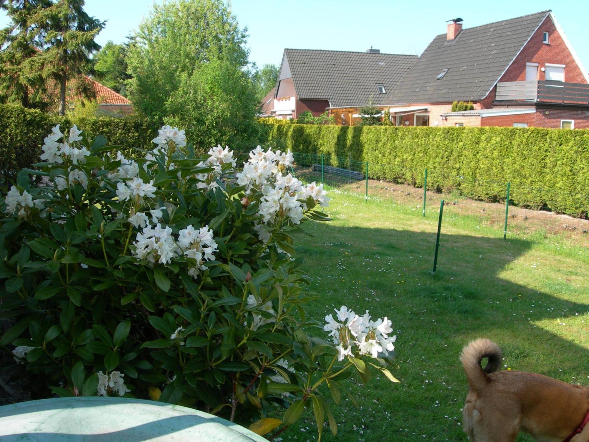 Appartements Krueger Hage Dış mekan fotoğraf